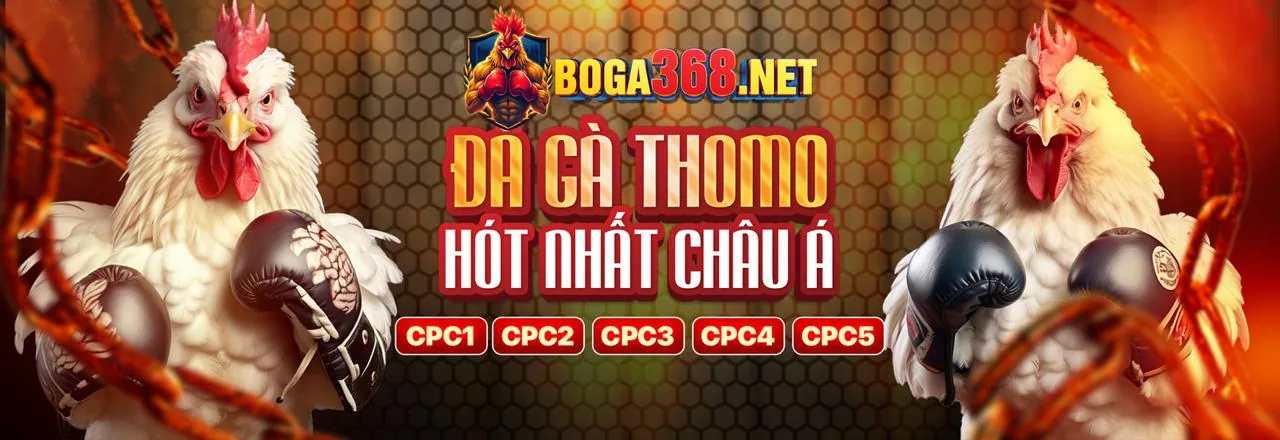 Đá Gà 88e - Trận đấu gà kịch tính