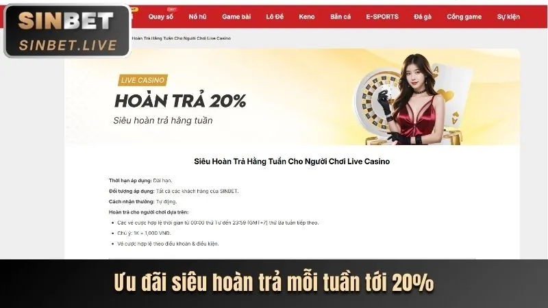 Tổng quan về nền tảng 88e Casino